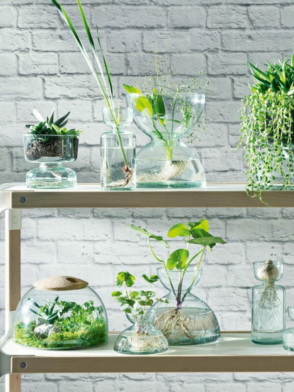 LSA Canopy Self Watering Planter H13Cm Clear/Part Optic - Image 3
